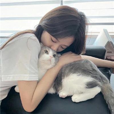 沙漠驼影