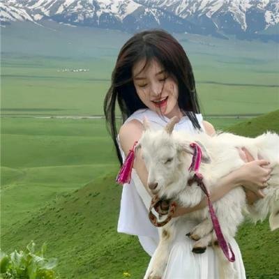 使徒行者2粤语